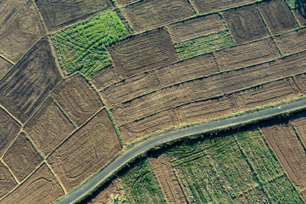 pexels photo 30557705 30557705 Aerial perspective of brown and green agricultural fields intersected by a road.